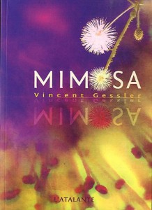 mimosa_vincentgessler